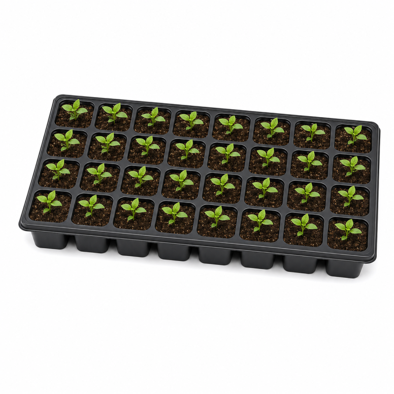 Bandeja de Germinación 32 Cavidades