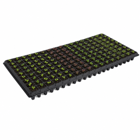 Bande de Germinación 200 Cavidades