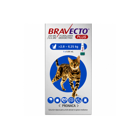 Bravecto Gatos de 2.8 a 6.25 kg. (250mg)