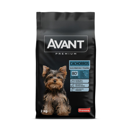 Avant Cachorros Raza Pequeña 2 kg.