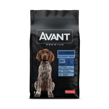 Avant Cachorro Raza Mediana Grande 2 kg.