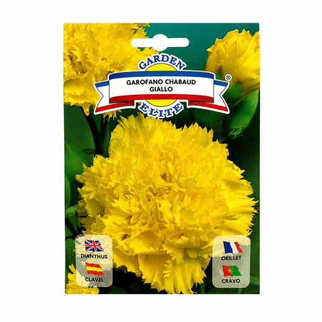 Clavel Amarillo