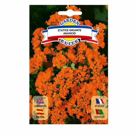 Belesa Gigante Naranja