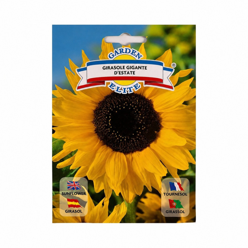 Girasol Gigante