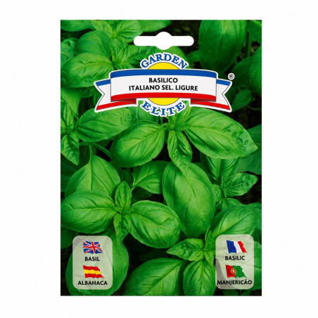 Albahaca