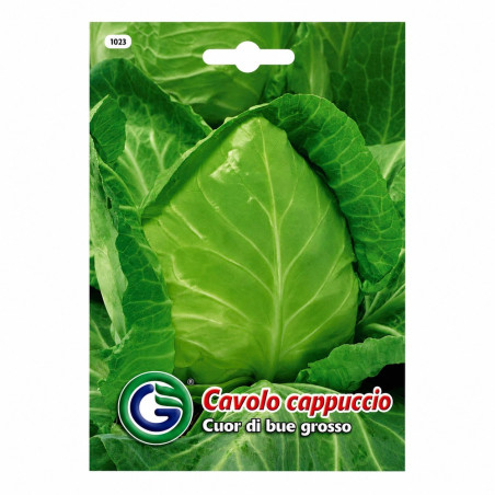 Col Cuor di bue Grosso