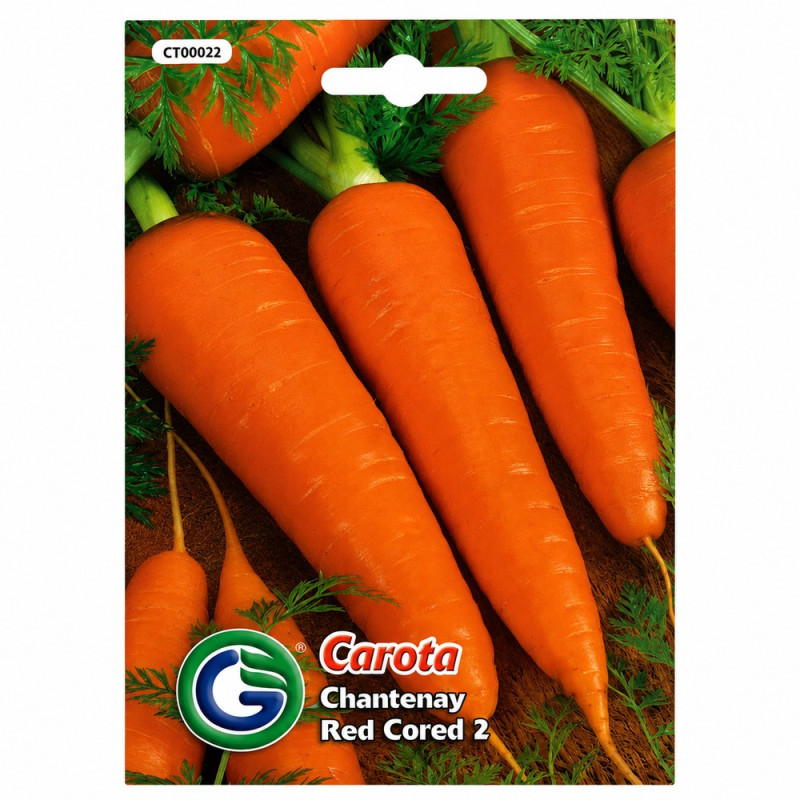 Zanahoria Chantenay Red Cored 2