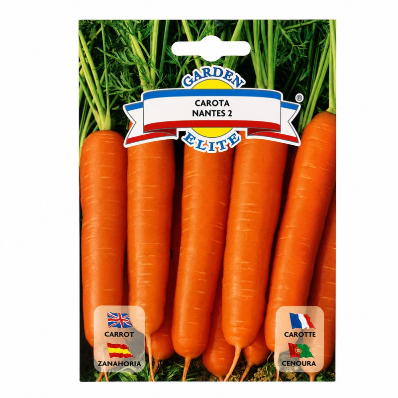 Zanahoria Carota Nantes 2