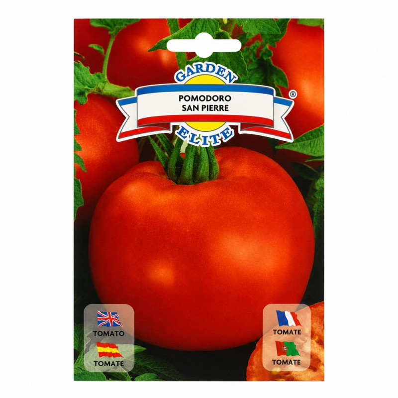 Tomate Pomodoro San Pierre
