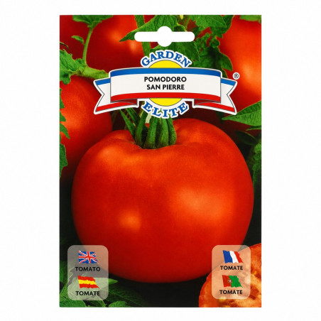 Tomate Pomodoro San Pierre