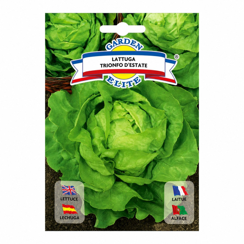 Lechuga Trionfo D Estate