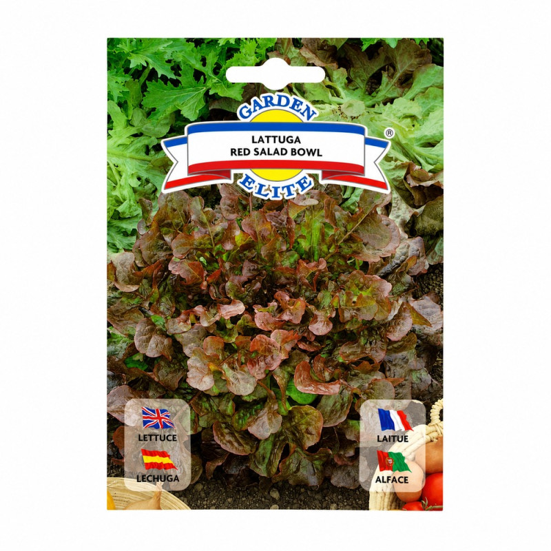 Lechuga Red Salad Bowl