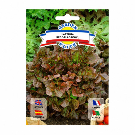 Lechuga Red Salad Bowl
