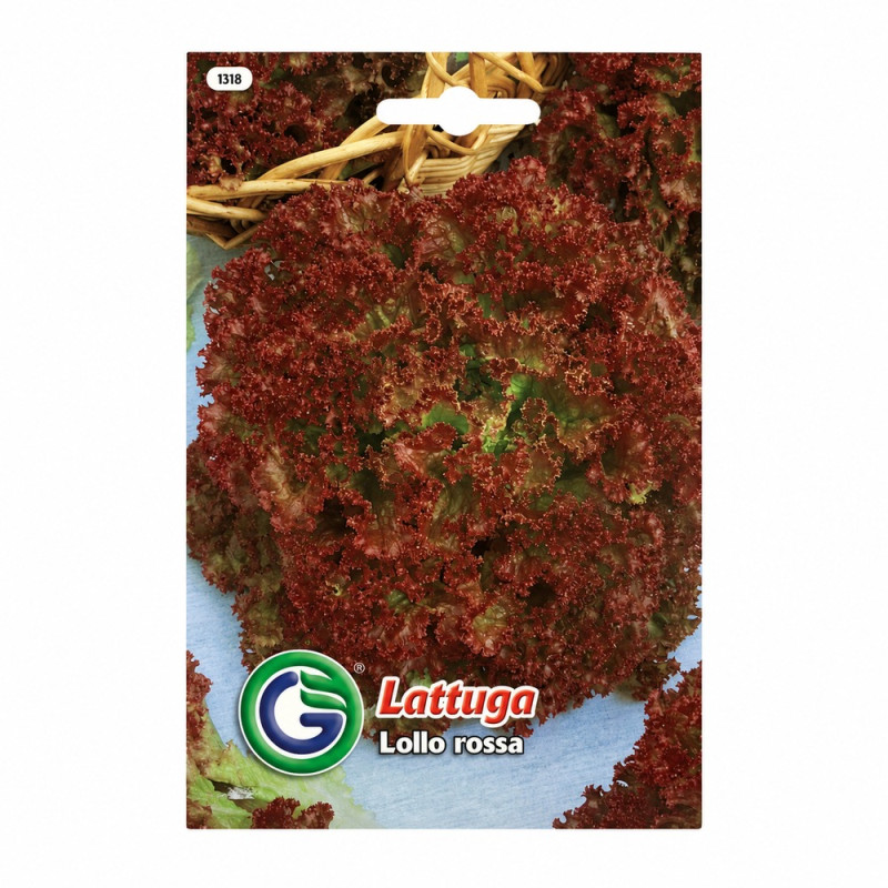Lechuga Lollo Rossa