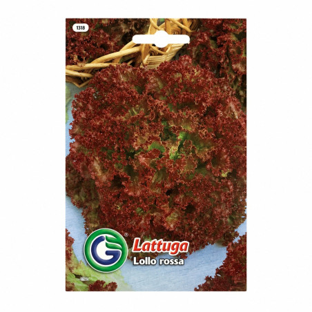 Lechuga Lollo Rossa