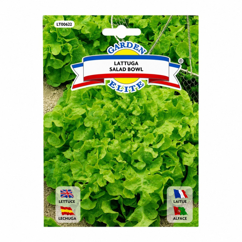Lechuga Salad Bowl