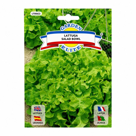 Lechuga Salad Bowl