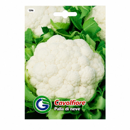 Coliflor