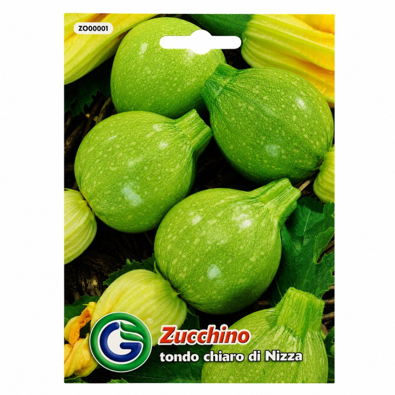 Calabacín Nizza
