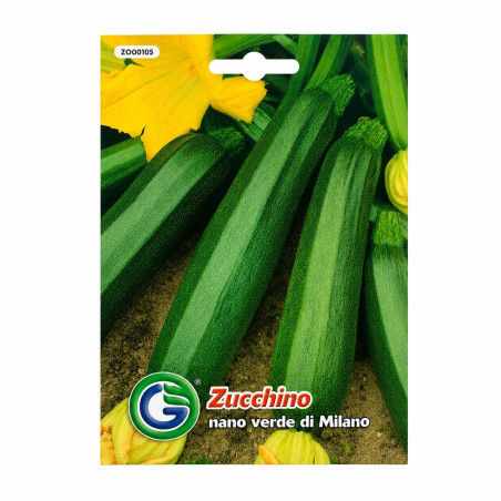 Calabacín Zucchini