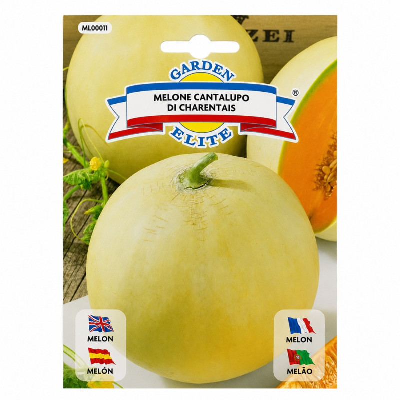 Melón