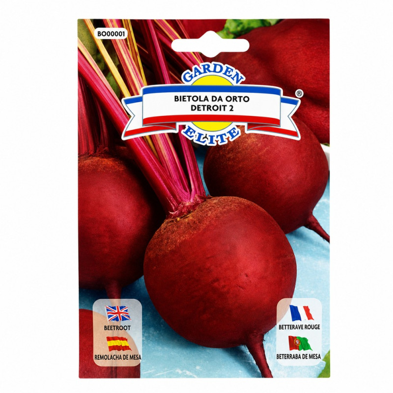 Remolacha