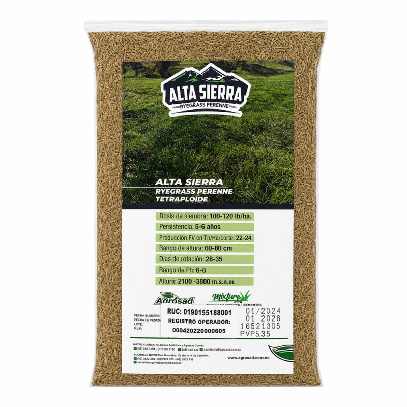Ryegrass Perenne Alta Sierra 1 lb.