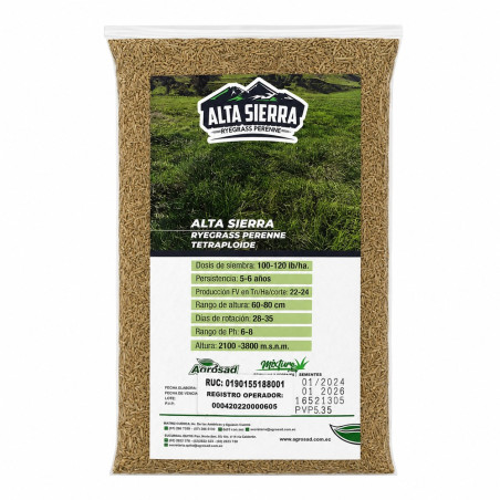 Ryegrass Perenne Alta Sierra 1 lb.