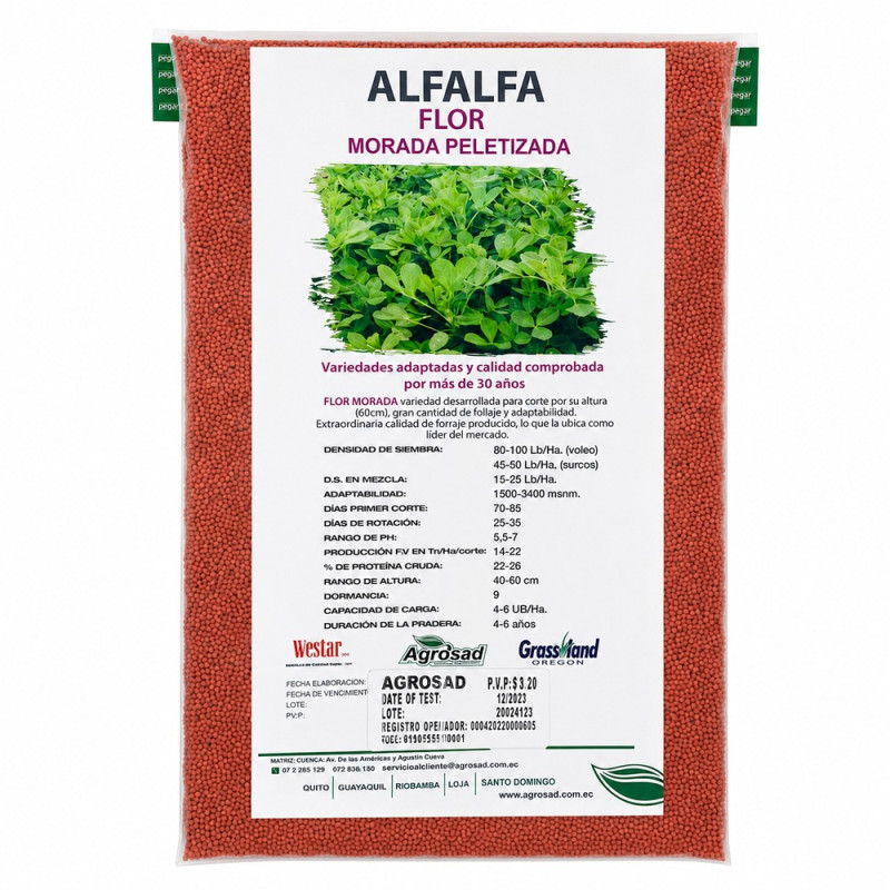 Alfalfa Flor Morada
