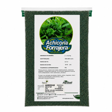 Achicoria Forrajera 1 lb.