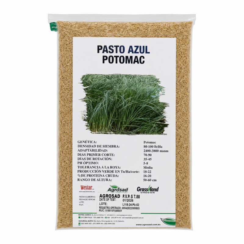 Pasto Azul Potomac 1 lb.